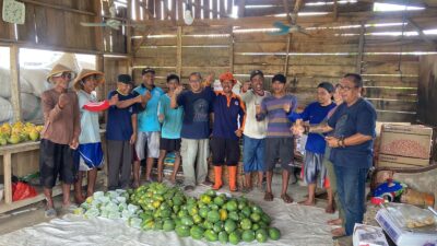 Kelompok Petani Pepaya di Wilayah Doro Pekalongan Dukung Irjen Pol Ahmad Lutfi Jadi Gubernur Jawa Tengah