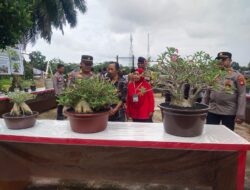 Selama Empat Hari Polres Sekadau Gelar Pameran Bonsai dan Tanaman Hias