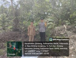 Bhabinkamtibmas Polsek Sintang Kota Bripka Eko Dedy Suntoro, Dorong Pemanfaatan Lahan Untuk Perkarangan Pangan Bergizi