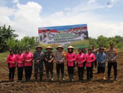 Sukseskan Program Ketahanan Pangan, Polres Ketapang Luncurkan Gugus Tugas Polri Dan Tanam Jagung Hibrida Bersama Kelompok Tani