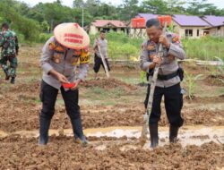 Polres Melawi Mendukung Ketahanan Pangan dengan Menanam Jagung di Pekarangan