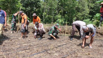 Manfaatkan Lahan Tidur, Polsek Nanga Mahap Dukung Ketahanan Pangan dengan Tanam Jagung