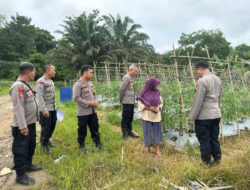 Dit Binmas Polda Kalbar Asistensi Program Pekarangan Pangan Bergizi di Polres Sekadau