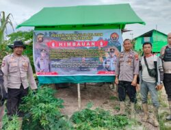 Cegah dan Tekan Aktifitas Penambangan Tanpa Izin, Polres Ketapang Dan Jajaran Lakukan Upaya Preventif Di Lokasi Penambangan