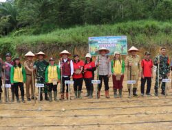 Sinergi Polri, Pemerintah, dan Petani: Penanaman Jagung Serentak di Kabupaten Landak