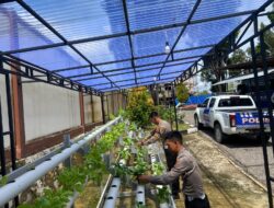 Polres Sekadau Manfaatkan Pekarangan untuk Ketahanan Pangan dan Program Makan Bergizi