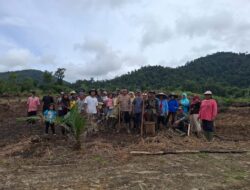 Kapolsek Sayan Turut Serta Penanaman Jagung di Desa Nanga Kompi