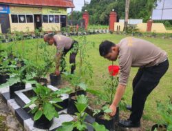 Polsek Entikong Gencarkan Program Perkarangan Bergizi untuk Ketahanan Pangan
