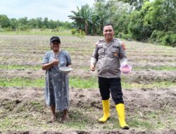 Polsek Kendawangan Bersama Kelompok Tani Tanam Bibit Jagung Hibrida untuk Tingkatkan Hasil Pertanian