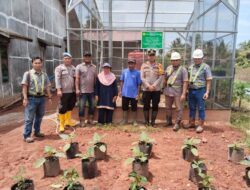 Pastikan Ketersedian Pangan Bergizi, Polsek Kendawangan Lakukan Pengecekan Perkarangan Para Kelompok Tani