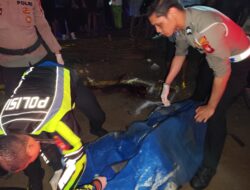 IPTU Sudarsono: Kecelakaan di Jalan Merdeka Timur Sekadau, Pengendara Motor Meninggal Dunia