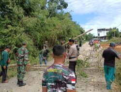 Gotong Royong TNI-Polri dan Warga di Nanga Mahap, Tebang Pohon Demi Keselamatan Bersama