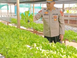 Personil Polres Ketapang AKP Subandi Ciptakan Inovasi Ketahanan Pangan Bergizi Lewat Hidroponik