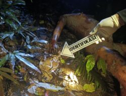 Tiga Hari Tak Pulang, Korban Ditemukan Tewas Tanpa Busana di Kebun Sawit