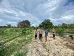 Polisi dan Petani Bersinergi Cek Lahan Jagung untuk Ketahanan Pangan