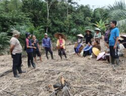 Polsek Nanga Taman dan Kelompok Tani Laksanakan Penanaman Jagung dengan Metode Tumpang Sari