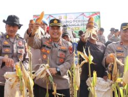 Kapolres Melawi Pimpin Panen Jagung dukung ketahanan pangan 