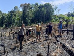 Polsek Nanga Mahap Dampingi Penanaman Jagung di Lahan Warga Teluk Kebiuk