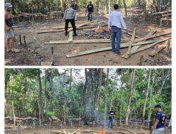 Kembali Polsek Sepauk Polres Sintang,Bongkar Tempat Arena Perjudian Sabung Ayam di Lengkenat Kecamatan Sepauk