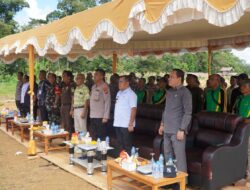 Dukung Swasemada Pangan, Polres Sekadau Ikuti Panen Raya Jagung Serentak Kuartal II