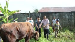 Momen Idul Adha, Kapolres Ketapang Laksanakan Penyembelihan Hewan Qurban Di Mapolres Ketapang