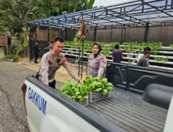 Polres Sekadau Panen Sayur Hidroponik, Dibagikan ke Ponpes Al Fatah