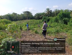 Polsek Belitang Hilir Tinjau Lahan Jagung di Dua Desa, Dukung Ketahanan Pangan Nasional