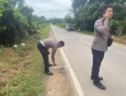 Satlantas Polres Sekadau Tangani Laka Lantas di Jalan Sekadau–Sintang