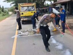 Satlantas Polres Sekadau dan Damkar Bergerak Cepat Bersihkan Tumpahan Solar di Jalan Merdeka Timur