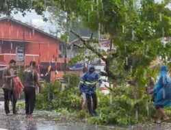 Personel Polres Melawi Sigap Evakuasi Pohon Tumbang