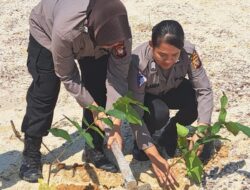 Sambut HUT ke-77, Polwan Polres Sekadau Tanam Pohon di Belitang Hilir