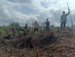 Kapolsek Sayan pimpin Penanaman Jagung Hibrida Di Desa Tumbak Raya 