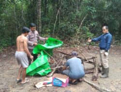 Polisi Tertibkan Dugaan Arena Sabung Ayam di Entabuk, Belitang Hilir