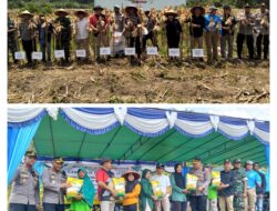 Polres Melawi Gelar Panen Raya Jagung Serentak Kuartal III,Serta Gerakan Pangan Murah Dan Pelayanan Kesehatan Gratis 