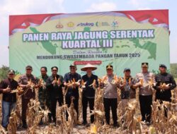 Polres Sintang Gelar Panen Raya Jagung Serentak Kuartal III, Dukung Program Asta Cita Ketahanan Pangan