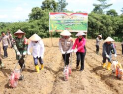 Polres Sekadau Sukseskan Penanaman Jagung Serentak Kuartal IV