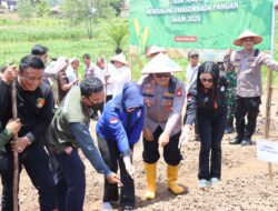 Wujudkan Swasembada Pangan Kapolres Melawi Pimpin Langsung Penanaman Jagung 