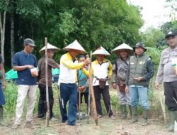 Sinergi Polri dan Petani, Aipda Samsul Dampingi Penanaman Jagung Hibrida di Desa Sekonau