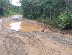 Jalan Poros Ella–Domet Rusak Dan Belobang Warga Keluhkan Akses Terhambat