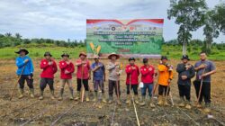 Tanam Jagung Bersama Warga, Polsek Meliau Mantapkan Langkah Dukung Program Pangan Nasional