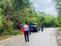 Respons Cepat Pamapta Polres Sekadau Evakuasi Pohon Tumbang di Jalan Merdeka Selatan