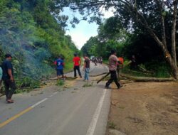 Polsek Belimbing Bersama Pemdes Pemuar dan Warga Gotong Royong Pangkas Pohon