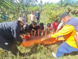 Polisi Jelaskan Kronologi Penemuan Warga Meninggal di Perkebunan Sawit Sekadau