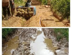 Akses Jalan Penghubung Antar Desa di Kecamatan Belimbing Hulu Sangat Memprihatinkan 