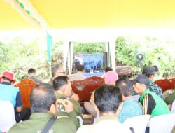 Sinergi Polri dan Forkopimda, Panen Raya Jagung Serentak Kuartal IV di Sekadau