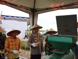 Kapolres Ketapang Bersama Forkopimda Hadiri Panen Raya Jagung Serentak Kuartal IV Dukung Swasembada Pangan di Kecamatan Muara Pawan
