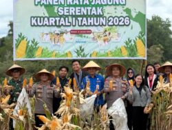 Panen Raya Jagung Serentak Digelar di Melawi, Polres Dukung Swasembada Pangan Nasional
