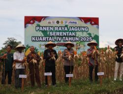 Dukung Program Nasional, Polres Landak Sukseskan Panen Raya Jagung Kuartal IV 2025