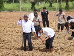 Kapolres Melawi Pimpin Penanaman Jagung Kembali di Lahan Polres Melawi Dukung Ketahanan Pangan 
