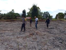 Bersama Pihak Desa Kemuning Biutak, Personel Polsek Matan Hilir Selatan Cek Lahan Kesiapan Tanam Jagung Hibrida